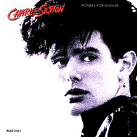 Charlie Sexton Ablum Cover